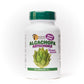 Artichoke (Alcachofa) Plus Boldus 60 Capsules Sunshinenaturals